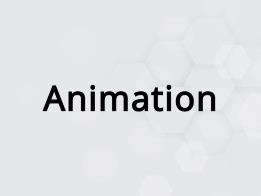 Animation Animation