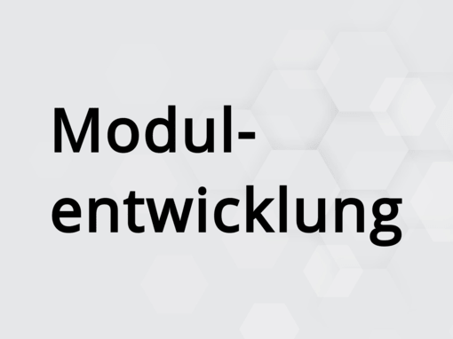 Modulentwicklung Modulentwicklung