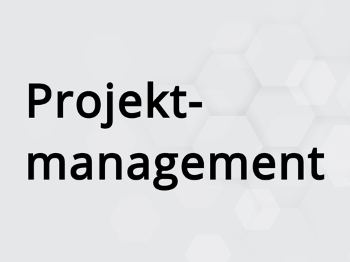 Projektmanagement