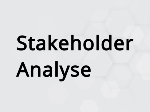 Stakeholder Analyse Stakeholder Analyse